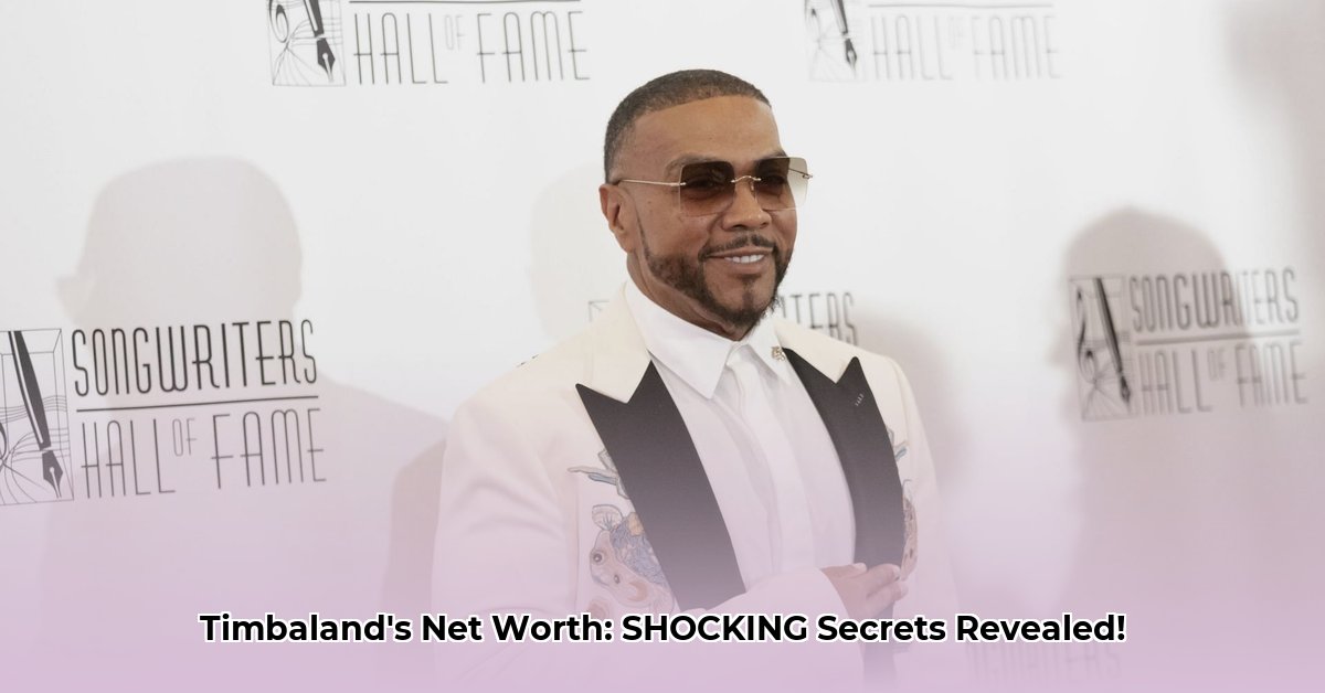 timbaland-producer-net-worth